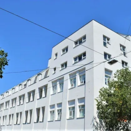 UNBEFRISTET, HOFRUHELAGE, 106 m2 Neubau mit 41 m2 Terrasse, Wohnküche, 3 Zimmer, Wannenbad, Parketten, gefördert - Bild 3