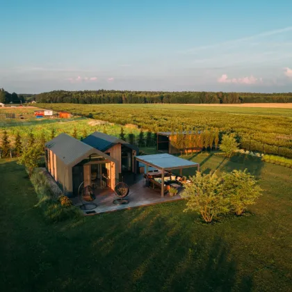 Ihr Traumhaus am Neusiedlersee – Ihr eigenes Paradies direkt am Wasser in Oggau - Bild 3