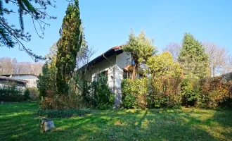 Einfamilienhaus auf Südhang in traumhaft ruhiger Waldrandlage - Eckgrundstück!