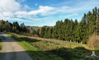 Tolles Grundstück in absoluter Ruhelage zu verkaufen!