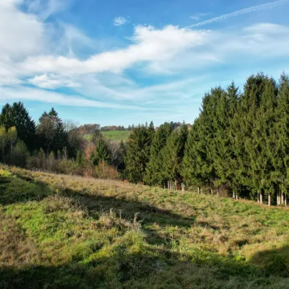 Top Preis-Leistung! Baugrund am Stadtrand zu verkaufen! - Bild 3