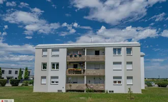 Kein Gas??? Kein Problem – wir HEIZEN unabhängig mit Holz !!!  Attraktive 4-Zimmer-Neubauwohnung mit Loggia ( ca. 100 m2) und eigenem Kfz-Abstellplatz ++ 2485 Wampersdorf Nähe Pottendorf