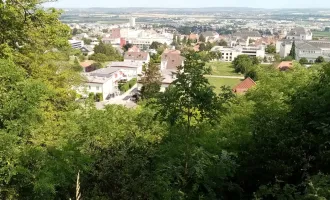 Absolute Rarität – Grundstück am Leithagebirge mit herrlichem Fernblick