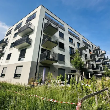 Tolle 2 Zimmerwohnung + Balkon! Top Lage - sehr nahe dem Hauptbahnhof & Belvedere! Ubahn Nähe! - Bild 3