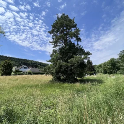 Baugrundstück im Wienerwald - Bild 3